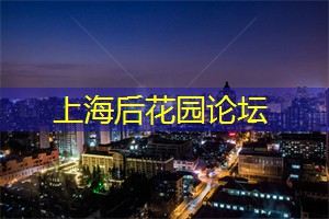 爱上海：奢侈品不是让你天天使用的
