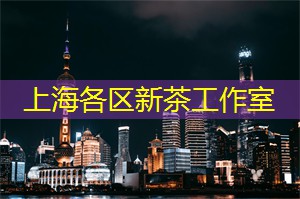 亲历精彩的孔子学院夜游体验